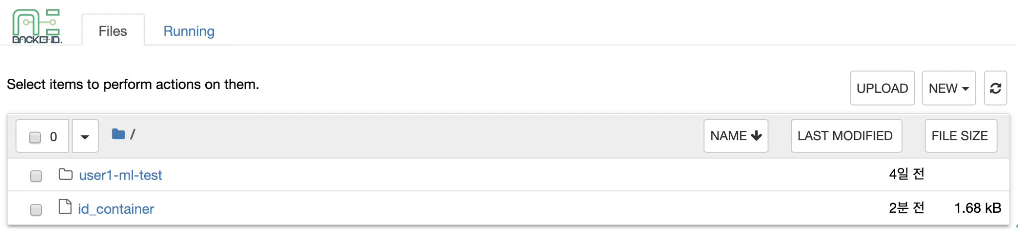 Jupyter app is launched