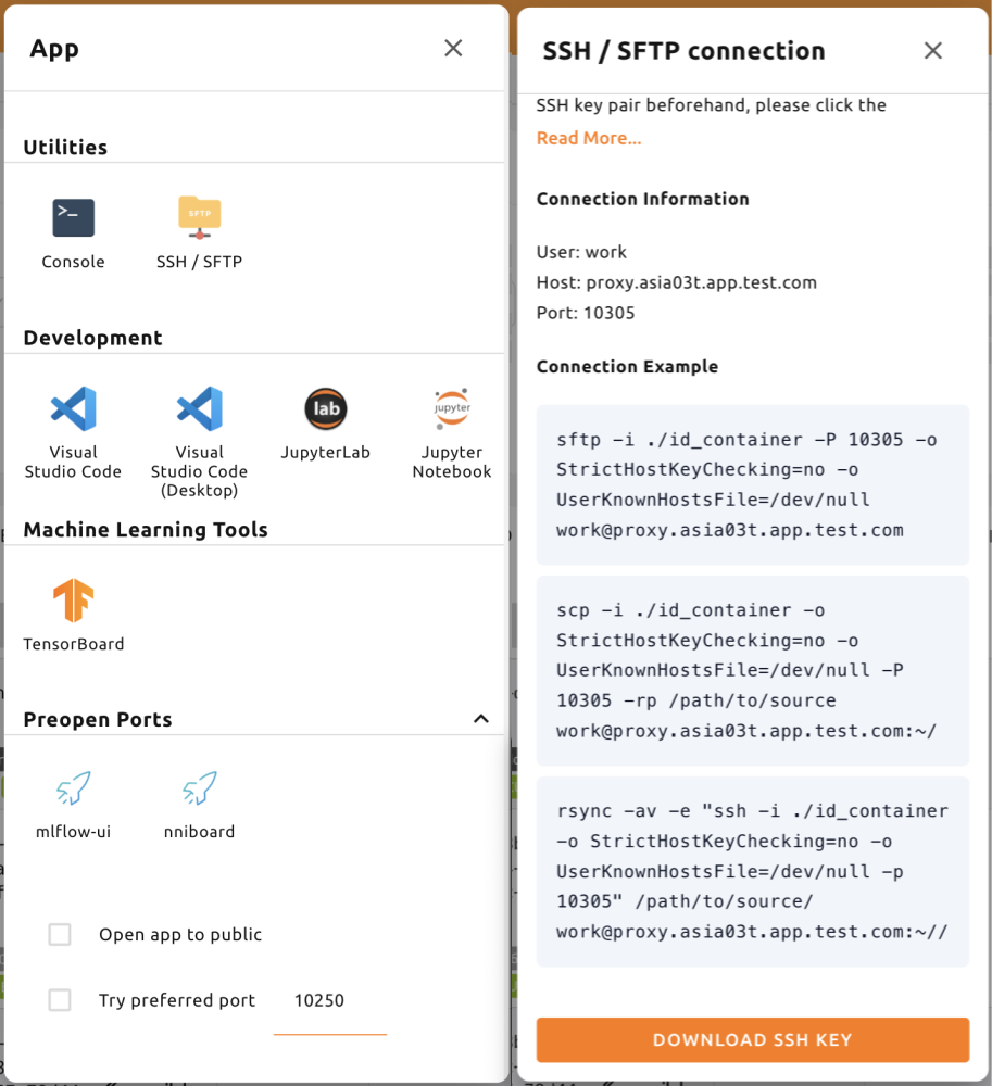 Starting SSH/SFTP daemon inside a compute session (container)